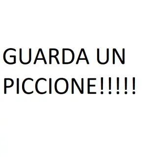 🐦 5b3b7f5d GUARDA UN PICCIONE!!!!! duif, vogel, dier, italiaans, tekst telegram sticker