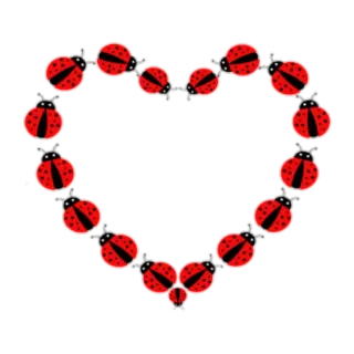 🐞 2bb1c0c7 ladybug, heart, insects, animals, love, red, cute telegram sticker