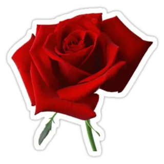 @relicario (Variados) telegram stickers