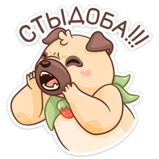 😡 d22dc93b СТЫДОБА!!! pies, mops, zakłopotanie, słodki, naklejka, kreskówka telegram sticker