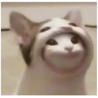 пАляниця telegram stickers