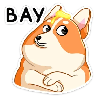 😦 28e385d3 BAY 狗, 柯基, 可爱, 动物, 海湾 whatsapp sticker