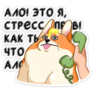 ☎️ 2a026156 АЛО! ЭТО Я, СТРЕСС ПРИВ! КАК ТЫ ЧТО АЛО 狗, 柯基, 压力, 电话, 搞笑, 动物 whatsapp sticker