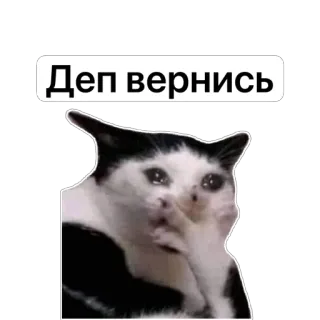 🫥 9bbeabbf Деп вернись gatto, triste, piangendo, meme, russo telegram sticker