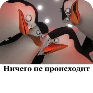 🫥 a867b294 Ничего не происходит pinguini, meme, animato, gruppo, divertente, russo telegram sticker