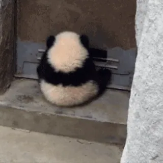 🐼 99d90c94 Panda, Schattig, Dier, Beer, Zittend telegram sticker