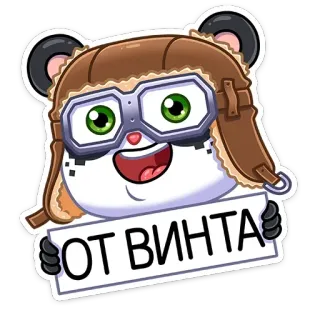 Панда Куару :: @TgSticker telegram stickers