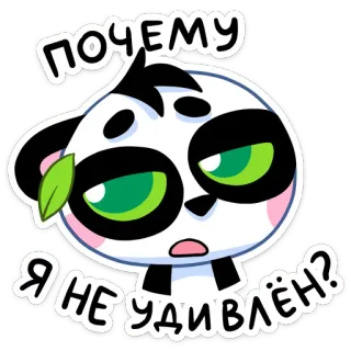 😕 d2adbc3e ПОЧЕМУ Я НЕ УДИВЛЁН? panda, cartoon, russian, sticker, expression, bored whatsapp sticker