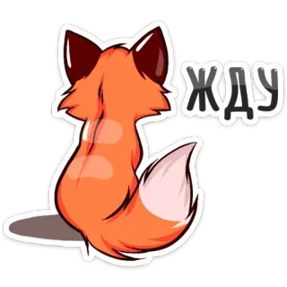 ⏰ 29310b4e ЖДУ fox, waiting, animal, cute, sticker, cartoon whatsapp sticker