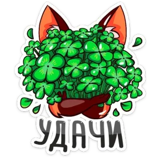 🍀 9c265b96 УДАЧИ clover, lucky, fox, good luck, four leaf clover, plant whatsapp sticker
