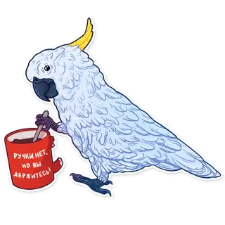 ☕️ 0fae3347 РУЧКИ НЕТ, НО ВЫ ДЕРЖИТЕСЬ! cockatoo, bird, coffee, motivation, funny, parrot whatsapp sticker