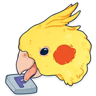 ПАПУГИ by @kotypic telegram stickers