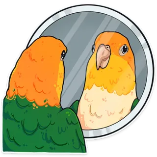 ❓ 842fb3f2 bird, parrot, mirror, reflection, animal, cute whatsapp sticker