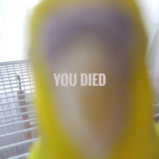 😵 0a1c137c YOU DIED jeu, mort, oiseau, mème, cage telegram sticker