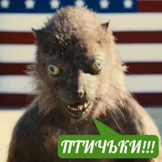 Папужки telegram stickers