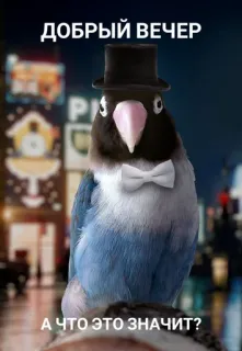 🥸 49f81429 ДОБРЫЙ ВЕЧЕР
А ЧТО ЭТО ЗНАЧИТ? oiseau, perroquet, chapeau, nœud papillon, nuit, soir telegram sticker