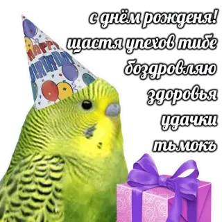 🎂 db9e6e2d с днём рождения! 
щастья успехов тибе 
боздравляю 
здоровья 
улачки 
тьмокь anniversaire, oiseau, cadeau, félicitations, perroquet, fête telegram sticker
