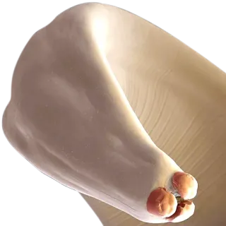 👀 7195f8af whatsapp sticker