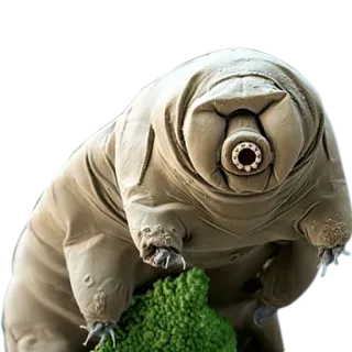 👋 8b9de340 tardigrado, orso d'acqua, microscopico, animale, scienza, biologia whatsapp sticker