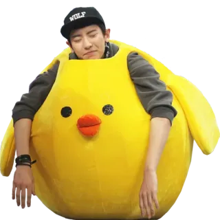 😴 6638414e WOLF pria, burung kuning, kostum binatang, kpop, lelah telegram sticker