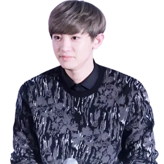 🙂 69cc0b25 Park Chanyeol kpop, penyanyi, exo, idol, musik, chanyeol telegram sticker