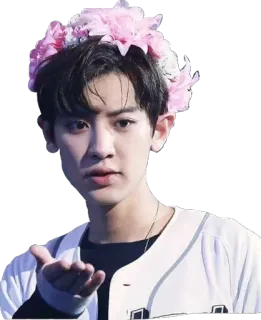 😘 fb743a70 telegram sticker