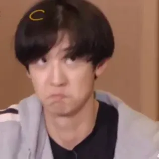 🐻 06124845 telegram sticker