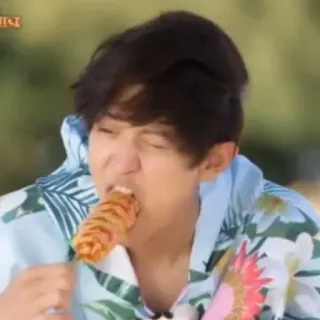 🐻 38621565 persona, comiendo, comida, perrito de maíz, retrato telegram sticker