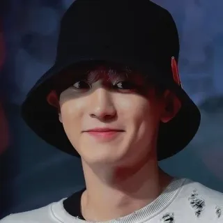 🐻 6425199d telegram sticker