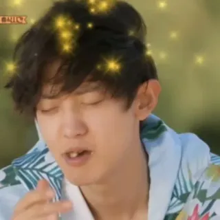 🐻 65272624 telegram sticker