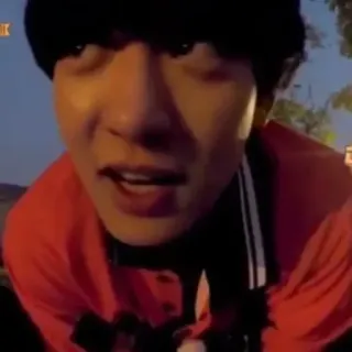 🐻 725dfe99 telegram sticker