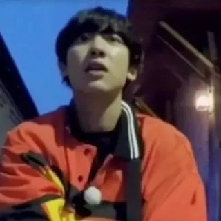 🐻 8d5ca8b5 telegram sticker