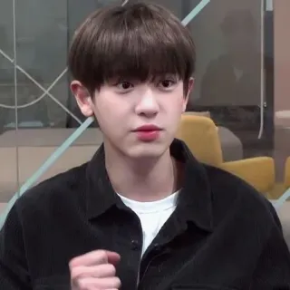 🐻 a3a6a805 persona, hombre, retrato, coreano, actor, cantante telegram sticker