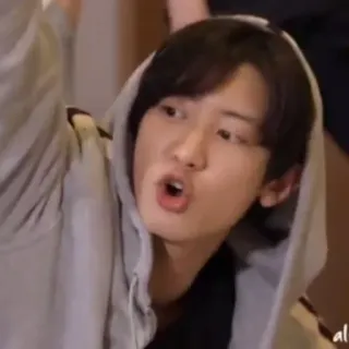 🐻 a8bdfb6c telegram sticker