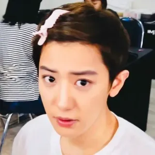 🐻 bac703f2 telegram sticker