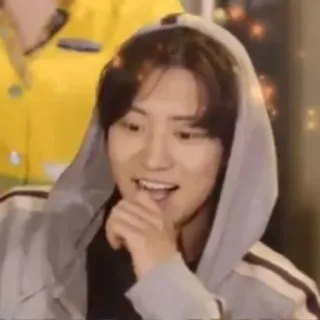 🐻 bcd6c62d telegram sticker