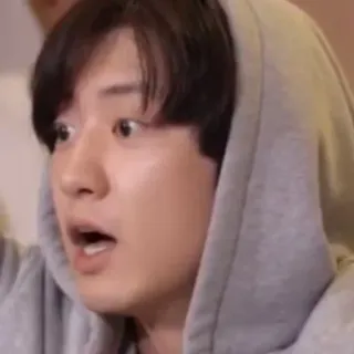 🐻 c00f2347 telegram sticker