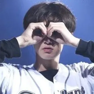 🐻 f16a89c9 telegram sticker