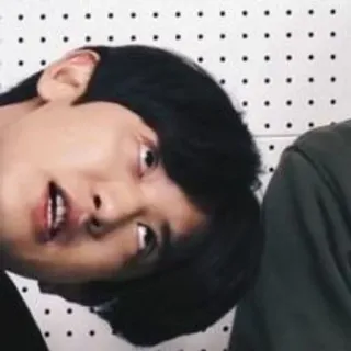 🐻 fa5b584c telegram sticker