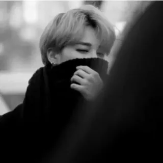 🌑 2022df66 pessoa, escala de cinza, retrato, kpop, jimin telegram sticker