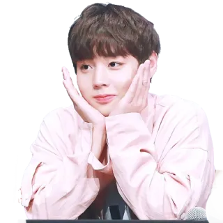 @jonafzan Park Jihoon Wanna One telegram stickers