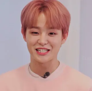 🐼 0449ba2c telegram sticker