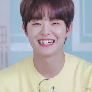 🐼 115a64d8 telegram sticker