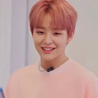 🐼 23093369 telegram sticker