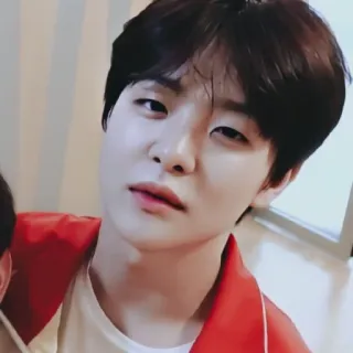 🐼 252714b2 telegram sticker