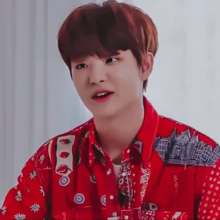 🐼 282fe9b8 telegram sticker