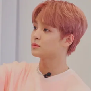 🐼 32297020 telegram sticker