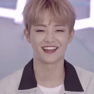 ᝰ໋᳝݊  jihoon ⵓ @lowkeyst telegram stickers