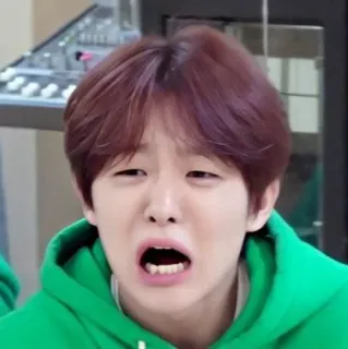 🐼 3db5d124 telegram sticker