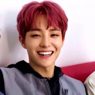 🐼 41586c2e telegram sticker